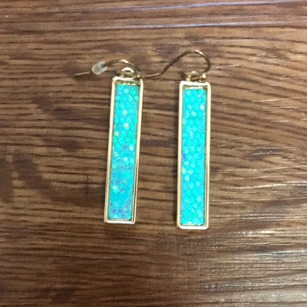 Sequin Earrings